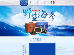 海參海鮮PSD設計素材 提升天貓?zhí)詫氻撁嬉曈X層次的專業(yè)工具
